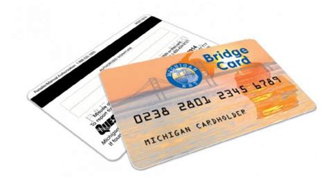 bridge card michigan log in.